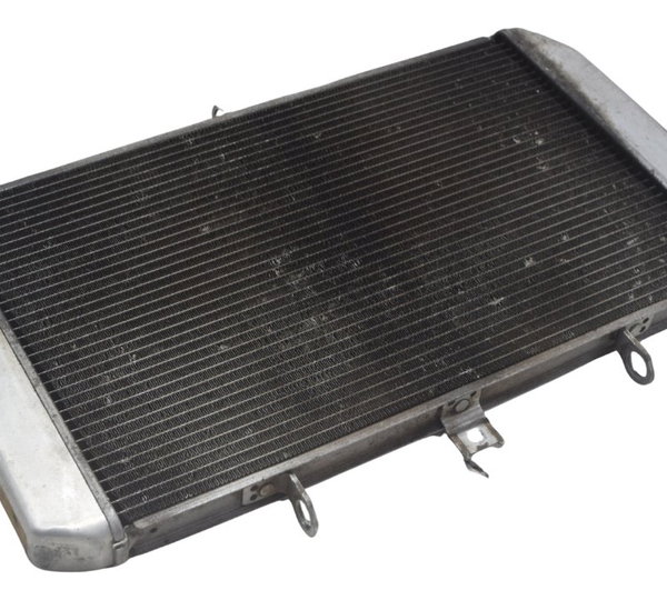 Radiador Kawasaki Ninja 1000 10-13 Original