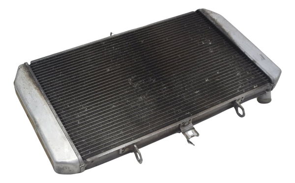 Radiador Kawasaki Ninja 1000 10-13 Original