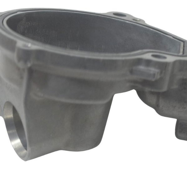 Tampa Bomba Água Kawasaki Ninja 1000 10-13 Original