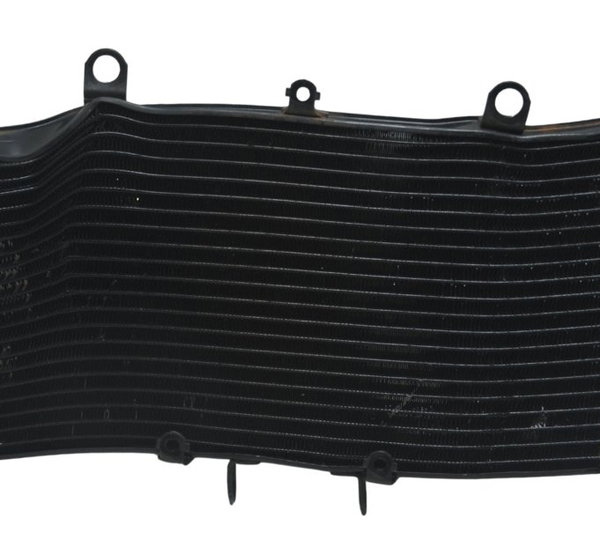 Radiador C/ Avaria Honda Cb 1300 F Super Four 07-08 Original