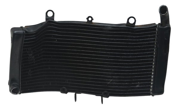 Radiador C/ Avaria Honda Cb 1300 F Super Four 07-08 Original
