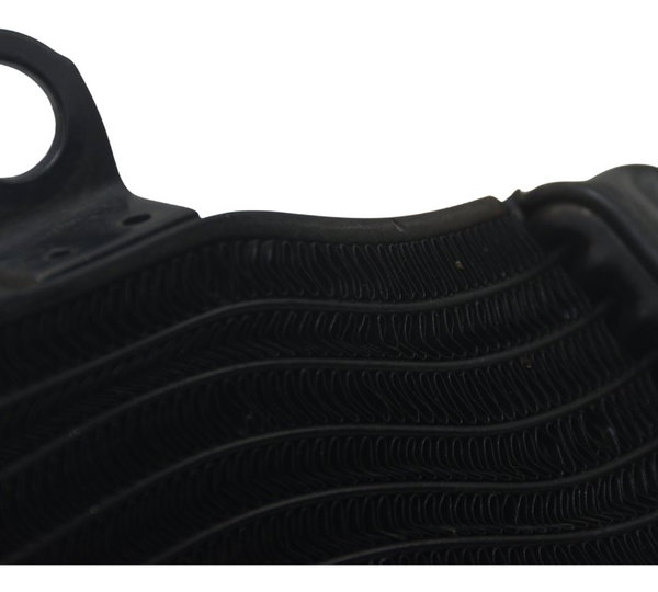 Radiador C/ Avaria Honda Cb 1300 F Super Four 07-08 Original