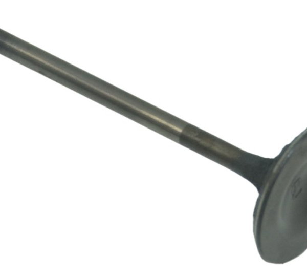 Válvula Admissão Honda Cb 1300 F Super Four 07-08 Original