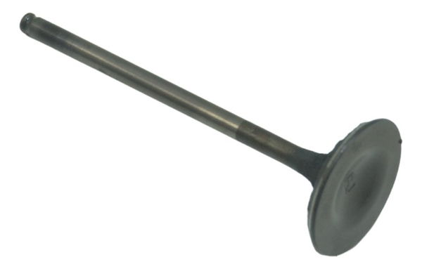 Válvula Admissão Honda Cb 1300 F Super Four 07-08 Original