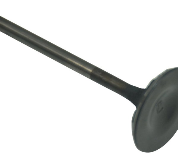 Válvula Admissão Honda Cb 1300 F Super Four 07-08 Original