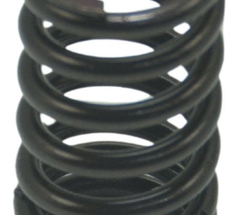 Mola Válvula Honda Cb 1300 F Super Four 07-08 Original