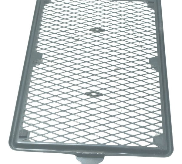 Grade Proteção Radiador Triumph Street Twin 900 16-22 Origin