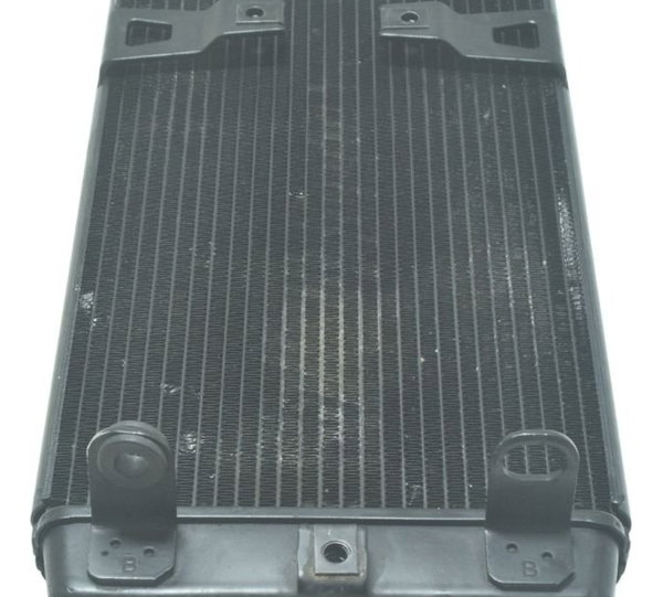 Radiador Triumph Street Twin 900 16-22 Original