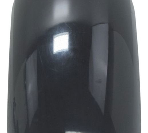 Paralama Dianteiro Triumph Street Twin 900 16-22 Original