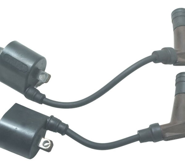 Par Bobina Ignição Triumph Street Twin 900 16-22 Original