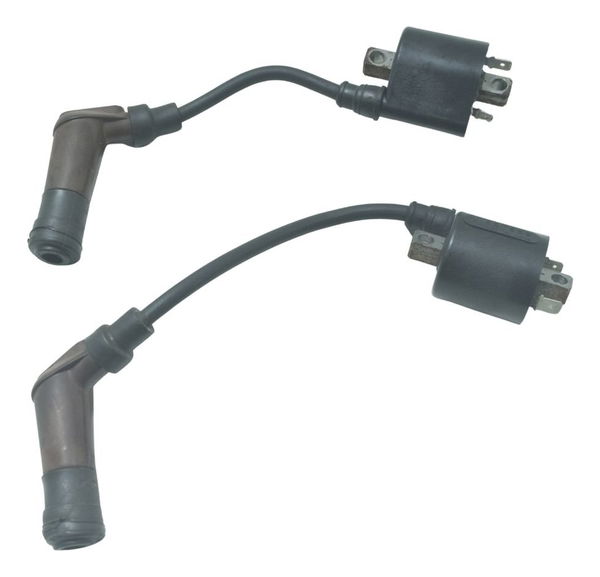 Par Bobina Ignição Triumph Street Twin 900 16-22 Original