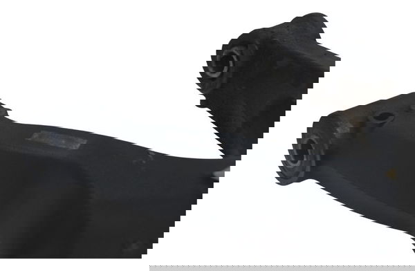 Quadro Elástico Triumph Tiger 800 15-17 Original