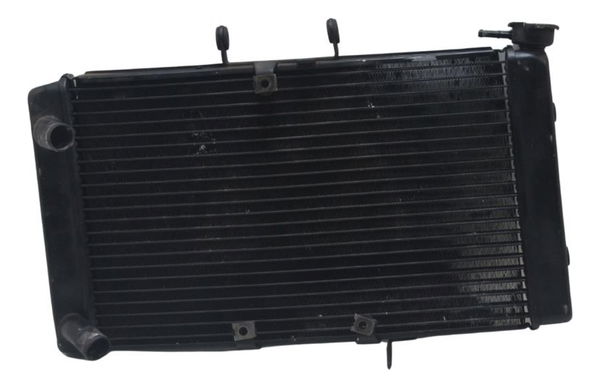 Radiador Triumph Triumph Tiger 800 Xcx 15-17 Original