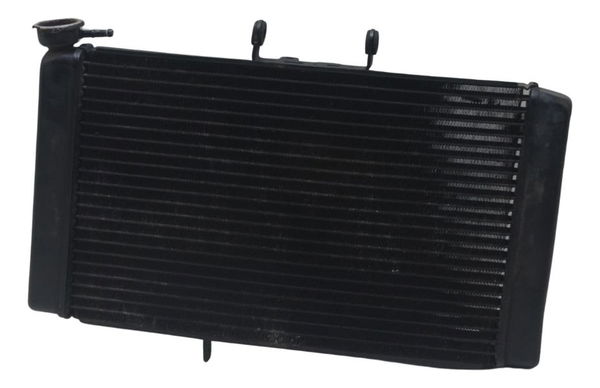 Radiador Triumph Triumph Tiger 800 Xcx 15-17 Original