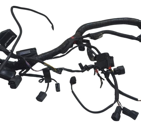 Chicote Principal Triumph Tiger 800 Xcx 15-17 Original