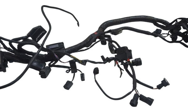 Chicote Principal Triumph Tiger 800 Xcx 15-17 Original