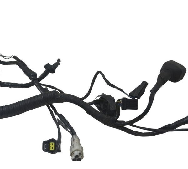 Chicote Principal Triumph Tiger 800 Xcx 15-17 Original