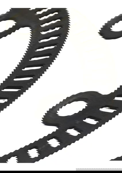 Roda Fonica Traseira Triumph Tiger 800 Xcx 15-17 Original