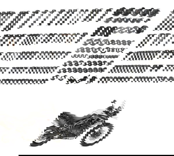 Kit Parafuso Diversos Triumph Tiger 800 Xcx 15-17 Original