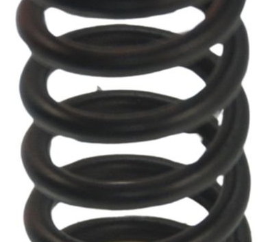 Mola Embreagem Triumph Tiger 800 Xcx 15-17 Original