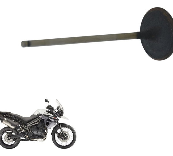 Válvula Admissão Triumph Tiger 800 Xcx 15-17 Original