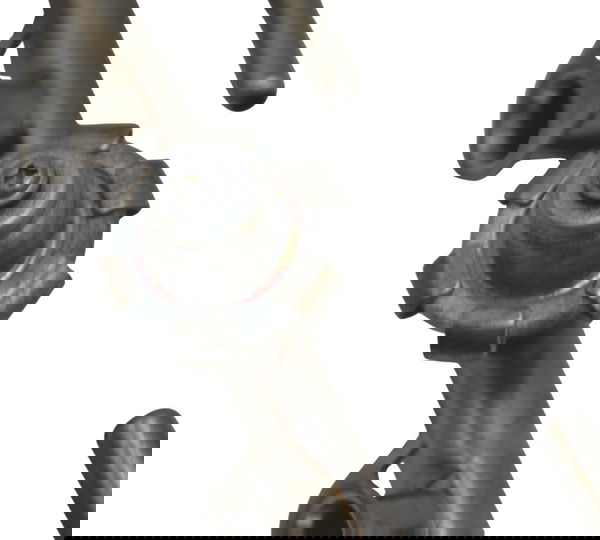 Flauta Baixa C/regulador Pressão Yamaha Yzf R6 06-08 Origina