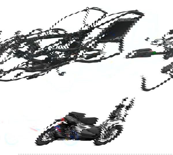 Chicote Principal C/detalhes Bmw C 400x Sport 18-24 Original