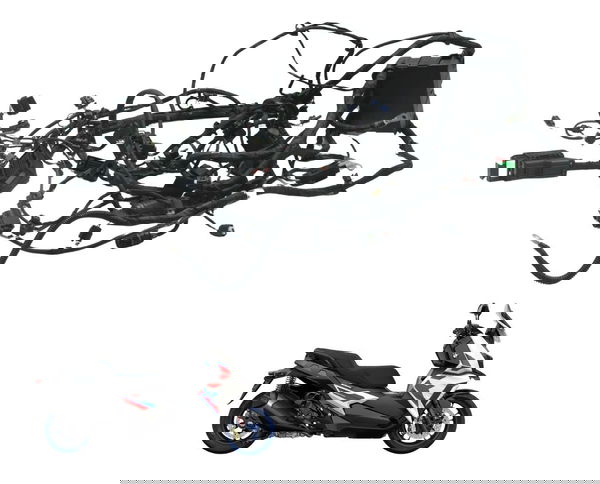 Chicote Principal C/detalhes Bmw C 400x Sport 18-24 Original