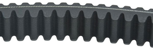 Correia Transmissão Bmw C 400x Sport 18-24 Original