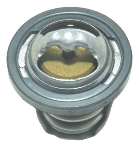 Válvula Termostática Bmw C 400x Sport 18-24 Original