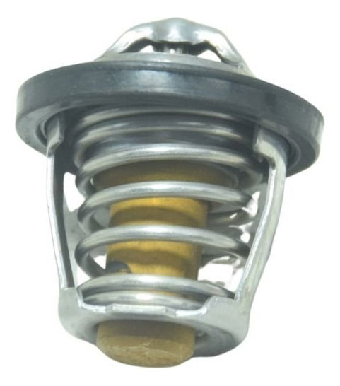 Válvula Termostática Bmw C 400x Sport 18-24 Original