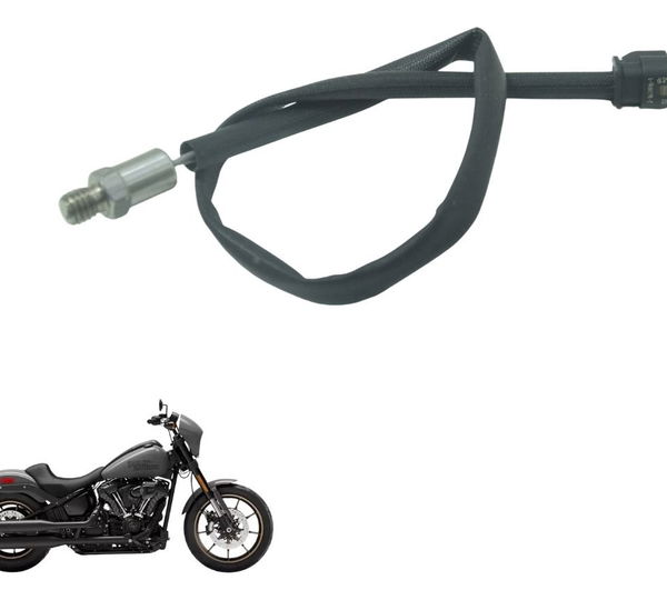 Sensor Temperatura Harley Softail Low Rider S 117 21-24 Orig