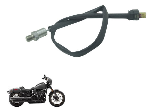 Sensor Temperatura Harley Softail Low Rider S 117 21-24 Orig