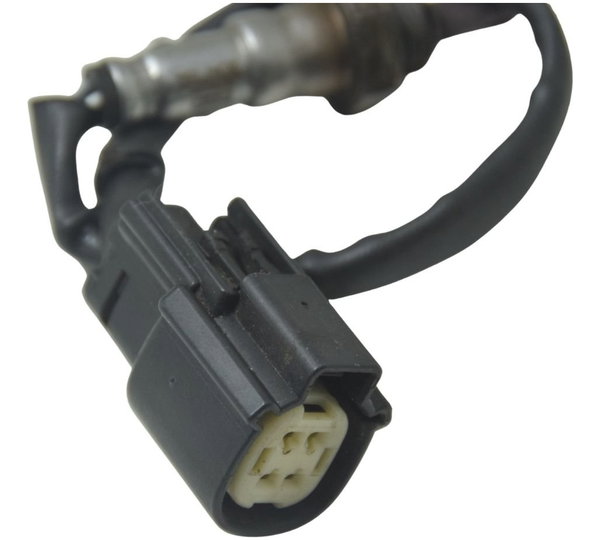 Sonda Lambda Harley Softail Low Rider S 117 21-24 Original