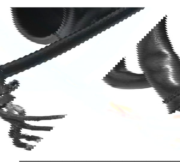 Chave Punho Luz Harley Softail Low Rider S 117 21-24 Origina