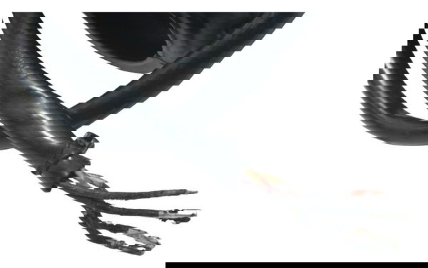 Chave Punho Luz Harley Softail Low Rider S 117 21-24 Origina