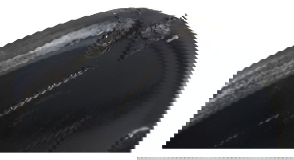 Tampa Inspeção Prim Ava Harley Softail Low Rider S 117 21-24