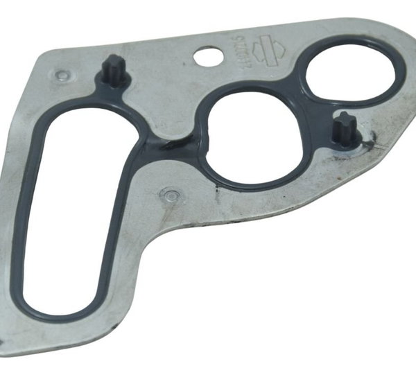 Junta Caixa Trans C/det Harley Softail Low Rider S 117 21-24
