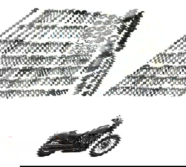 Kit Parafuso Diversos Harley Softail Low Rider S 117 21-24