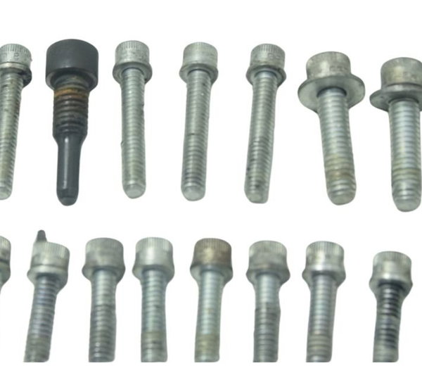 Jogo Parafuso Motor Harley Softail Low Rider S 117 21-24 Ori