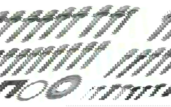 Jogo Parafuso Motor Harley Softail Low Rider S 117 21-24 Ori