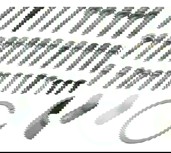 Jogo Parafuso Motor Harley Softail Low Rider S 117 21-24 Ori