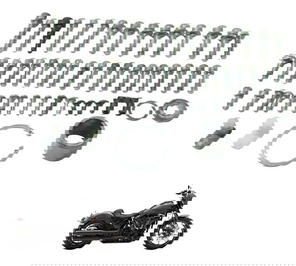 Jogo Parafuso Motor Harley Softail Low Rider S 117 21-24 Ori
