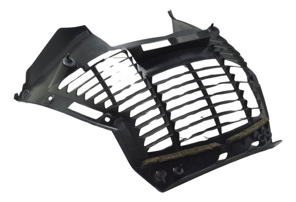 Grade Proteção Radiador Yamaha Tmax 530 13-15 Original