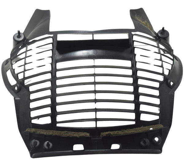 Grade Proteção Radiador Yamaha Tmax 530 13-15 Original