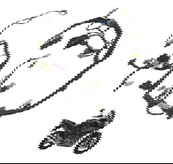 Chicote Principal C/ Avaria Yamaha Tdm Twin 900 06-08 Origi