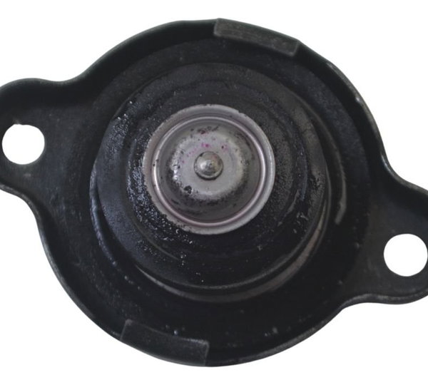 Tampa Radiador Yamaha Tdm Twin 900 02-08 Original