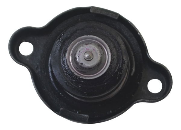 Tampa Radiador Yamaha Tdm Twin 900 02-08 Original