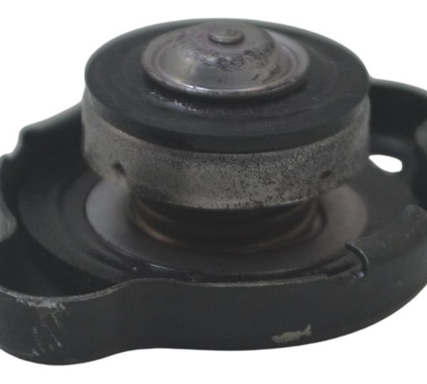 Tampa Radiador Yamaha Tdm Twin 900 02-08 Original