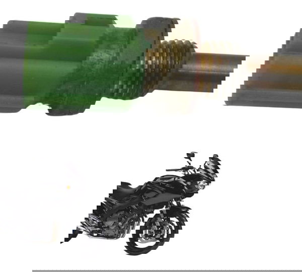 Sensor Temperatura Ar Yamaha Tdm Twin 900 02-08 Original